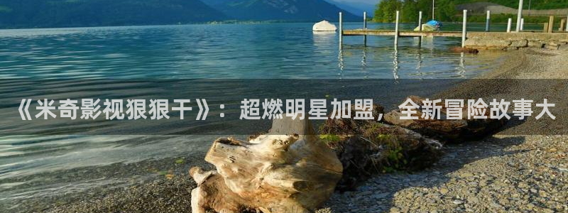斑马和斑马