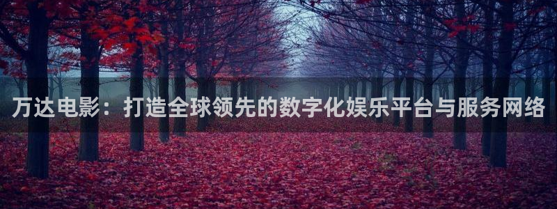 深斑马：万达电影：打造全球领先的数字化娱乐平台与服务网络