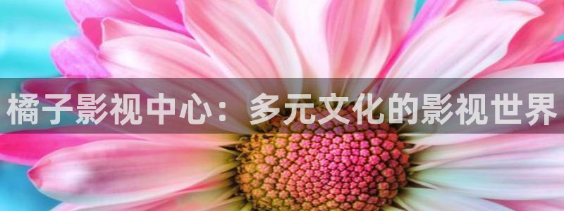 斑马ds2278：橘子影视中心：多元文化的影视世界