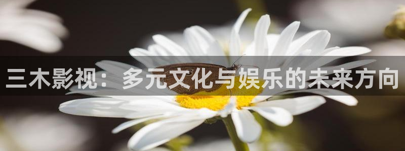 斑马li4278：三木影视：多元文化与娱乐的未来方向