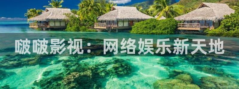韩国斑马电影