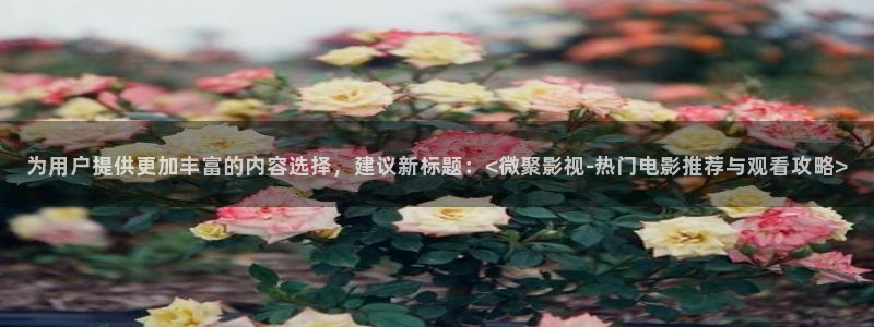 斑马频道