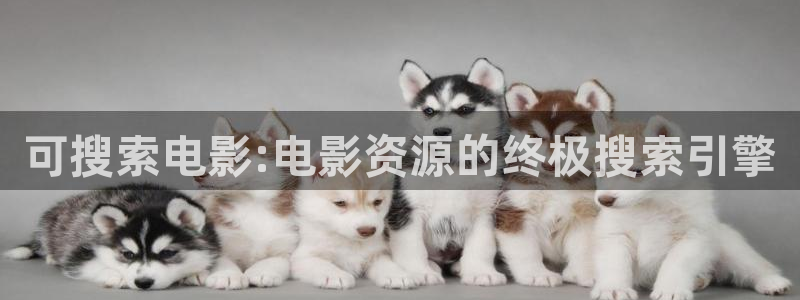 斑马总部
