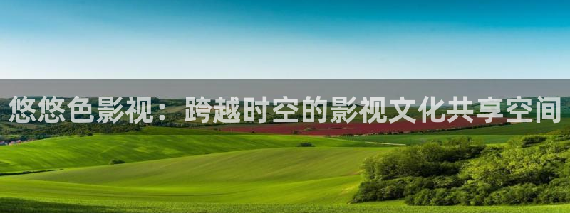个斑马