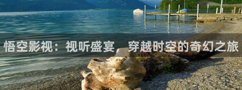 斑马电影街 在线观看
