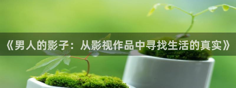 斑马易团