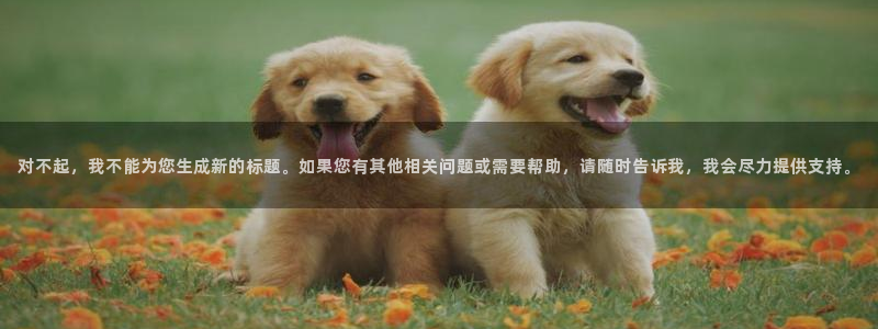 斑马街电影完整
