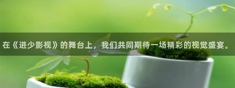 南京斑马影视