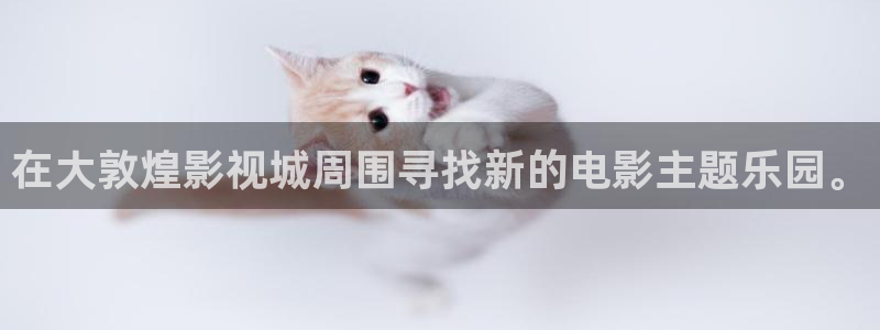 斑马街电影在线看
