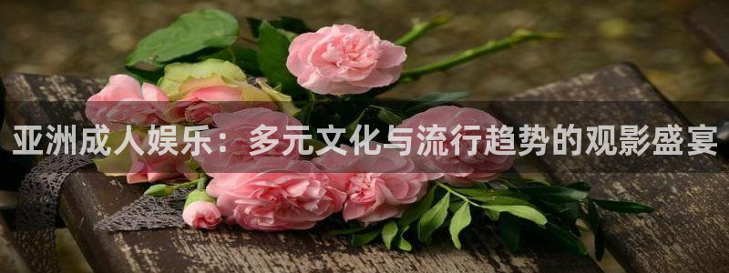斑马教育